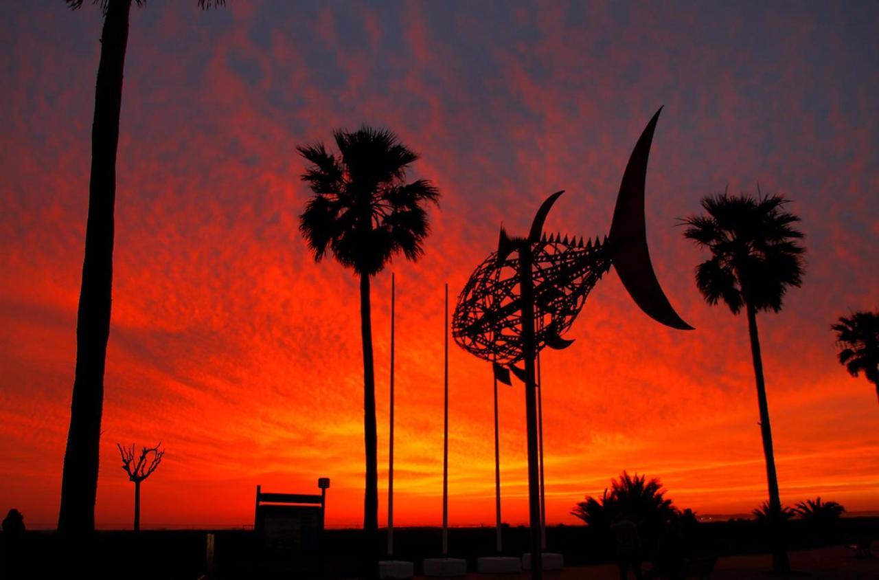 El Arrecife * Conil De La Frontera